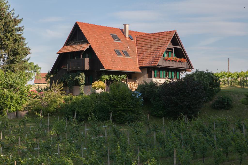 Ferienhaus Neubauer Spielfeld Exterior foto